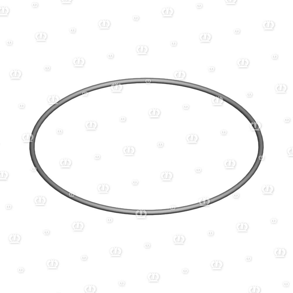 O-RING 0R 174-4