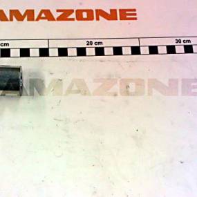 Buchse Amazone 214526