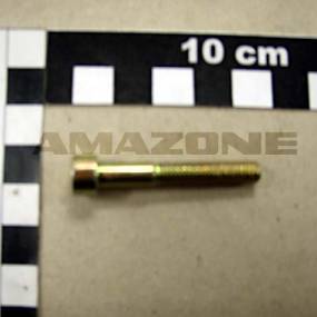 Zylinderschraube Iso 4762 6×40 8.8 Vz (Da309) Amazone