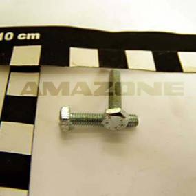 Sechskantschraube Iso 4017 4×20 8.8 Vz (Dc346) Amazone