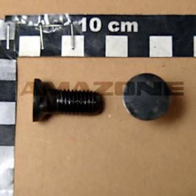 Senkschraube 12×30 10.9 Vz (Dd597) Amazone