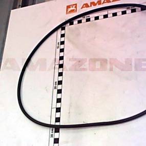 Ring Amazone Y358002910