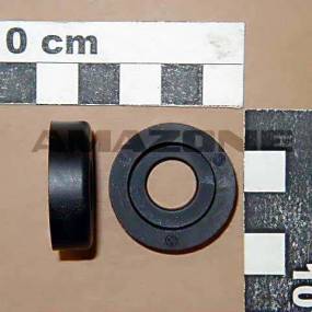 Buchse Amazone 922052