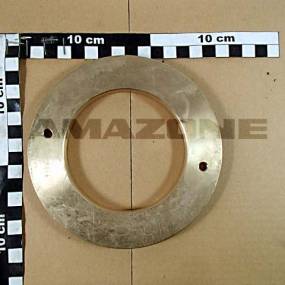 Bronzescheibe Amazone 937781