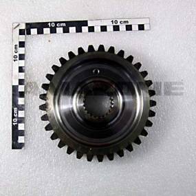 Stirnrad M=5 Z=33 Di=41 Amazone 950303