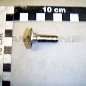 Flachrundschraube Din 603 10×30 Va (Da421) Amazone