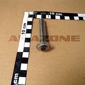 Halbrundkopfschraube Iso 7380-2 12×65 Va (Dd581) Amazone