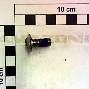 Halbrundkopfschraube Din 34805-2 8X20 Tx40 Va-Mk Amazone DD749