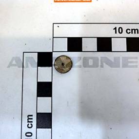 Drosselscheibe Dm 12, Bohrung 1,00Mm (Vne4010007) Amazone