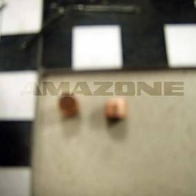 Kupferstueck Amazone 6130100