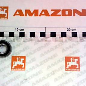 Rillenkugellager (Ca106) Amazone