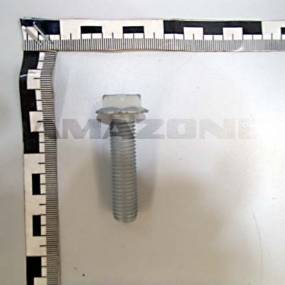 Sperrzahnschraube 12×50 100 Vz (Dd543) Amazone