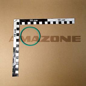 O-Ring 63,09X3,53 (Fc405) Amazone