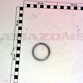 Scheibe 55X44,5X9 Amazone Y1012661