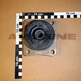 Lager Amazone Y5592740