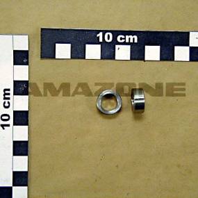 Buchse Amazone 922962