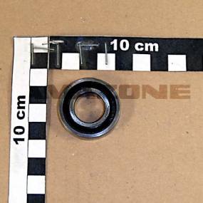 Rillenkugellager (Ca116) Amazone