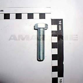 Sechskantschraube Iso 4017 12×50 8.8 Vz (Dc303) Amazone