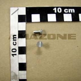 Senkschraube Iso 7046-1 4X10 H 4.8 Vz Amazone DD179