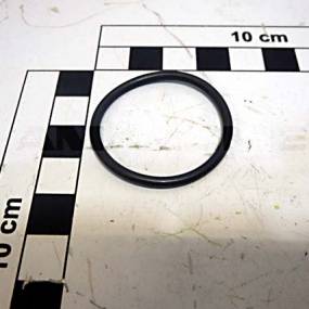 O-Ring 31,42X2,62 (Fc230) Amazone