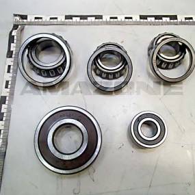 Lager (5 Stück) (Yy00319) Amazone