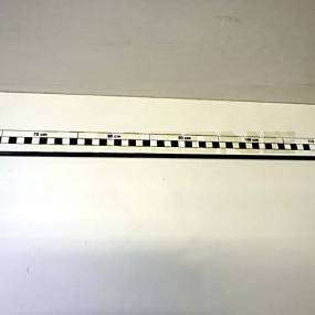 Stange F. Rollo Hi. Amazone YY00657