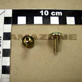 Flachrundschraube Din 603 6×20 4.6 Vz (Da053) Amazone