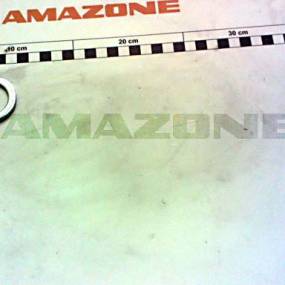 Scheibe Din 1441 31X45X5 St A2G (Df321) Amazone