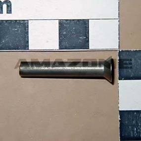 Niet Din 661 5X30 St Amazone DH031