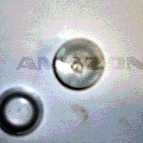 Kapstostopfen 300 F15 Amazone ID026