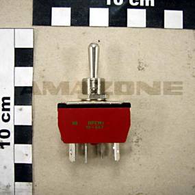 Taster 2-Pol. 10 A / 250 V (Ng019) Amazone