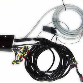 Kabelbaum Basis Ed Amascan+ Ed-Control Amazone NL100