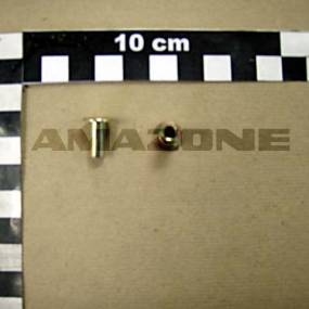 Niet B 6X13 Amazone Y0258056101