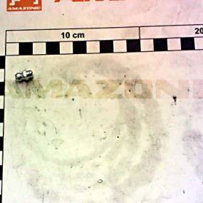 Schmiernip. Amazone Y043427