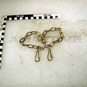 Haltekette Wellengr. 1-7 (Y252000001R02) Amazone Y252000001R02