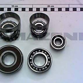 Lager (5 Stsck) (Yy00303) Amazone YY00303