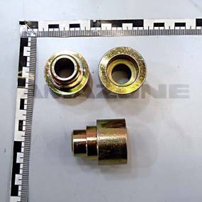 Buchse Amazone 207822