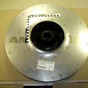 Laeufer Amazone 4113400