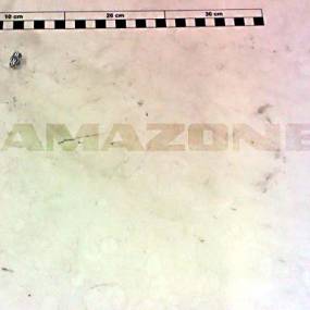 Schmiernippel 71412 Am 8X1 Schmiernippel 71412 Am 8X1 (Cg032) Amazone