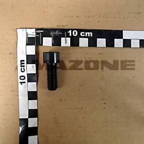 Zylinderschraube Iso 4762 12X30 8.8 Amazone DA123