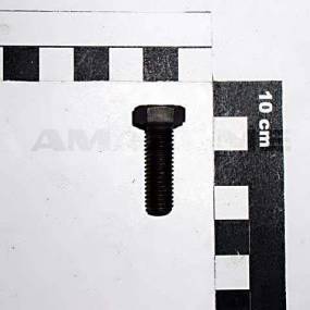 Sechskantschraube Iso 4017 8×25 8.8 (Dc034) Amazone