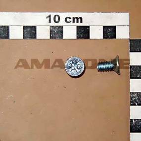 Senkschraube Iso 7046-1 8X16 H 4.8 Vz Amazone DD194