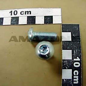 Halbrundkopfschraube Iso 7380-1 10×25 010.9 Vz (Dd373) Amazone