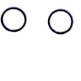 R-Ring M16 X 1,5 Mm Amazone LB052