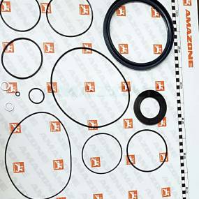 Dichtsatz Fuer Radnabengetriebe Ea314 Amazone Y1113032