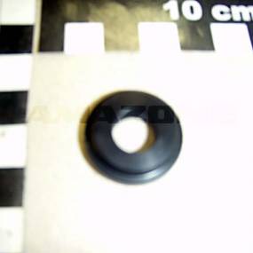 Buchse Amazone 933871