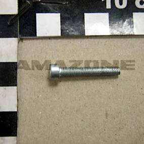 Zylinderschraube Iso 4762 4×25 8.8 Vz (Da777) Amazone