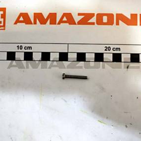 Zylinderschraube Iso 1207 4X25 Va Amazone DA799