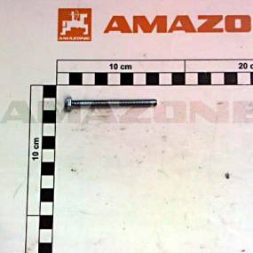 Sechskantschraube Iso 4017 6×65 8.8 Vz (Dc291) Amazone