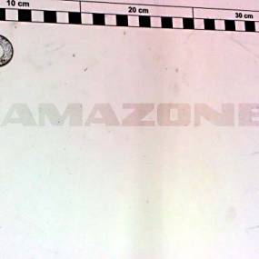 Scheibe 13X26X1,25 St Amazone DF050